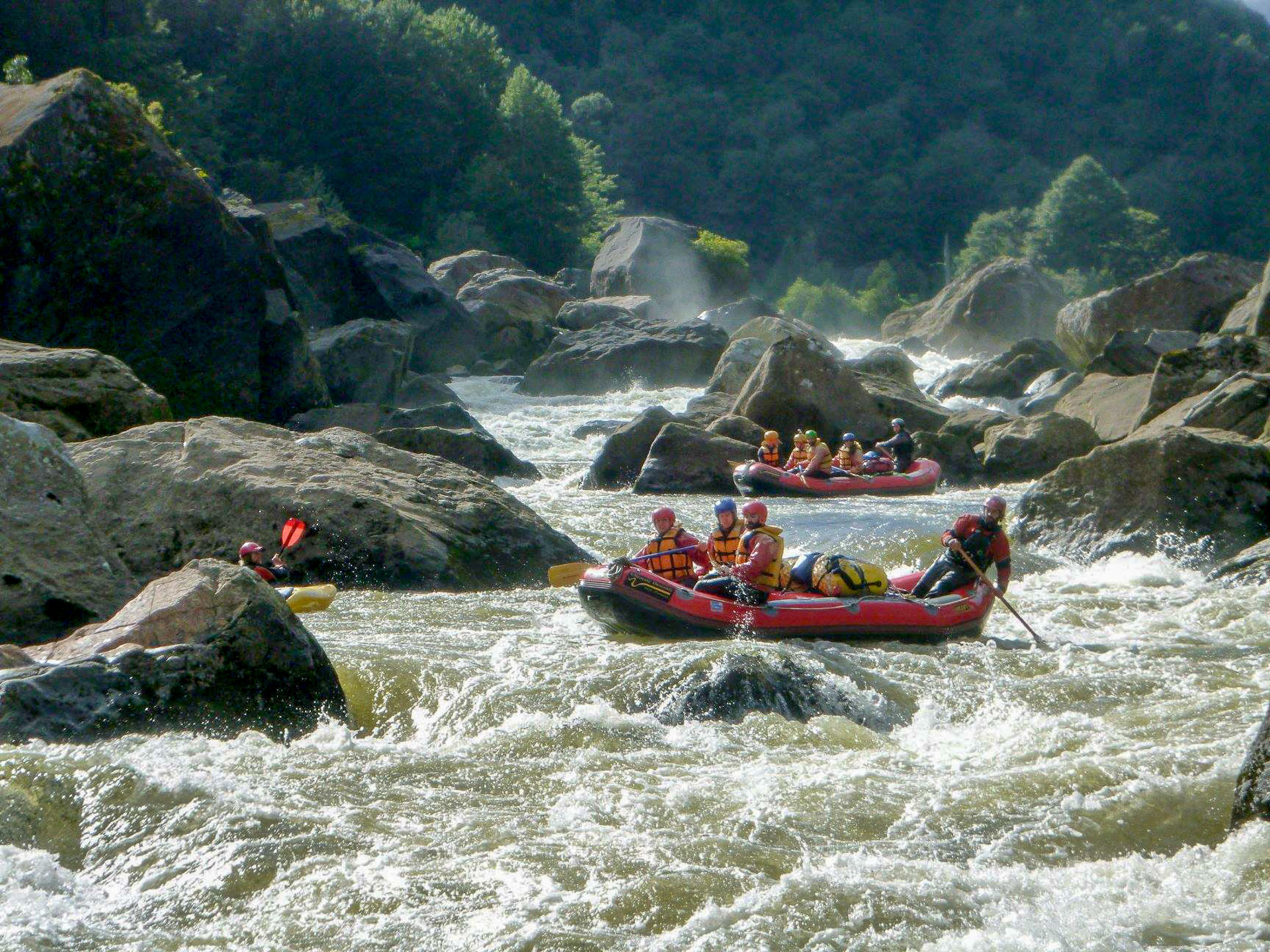 Raft navigating the legendary Class 5 Roaring Lion Rapid